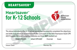 2025 Heartsaver® for K-12 Schools Card (24-pack)