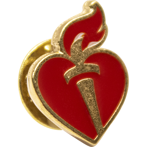 thumbnail image 2 of 9 Piece Heart Badge Pin Set - Assorted Color Brooches For Volunteers & Events 2 of 11
